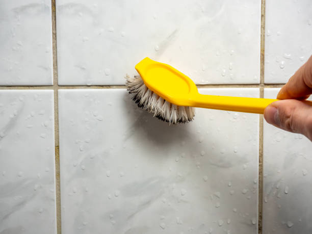 Best Office Mold Removal Services  in Monroe, NC