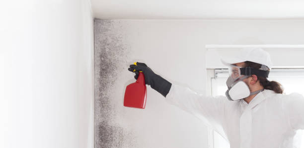Best Home Mold Removal  in Monroe, NC