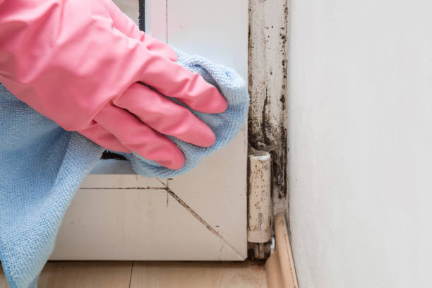 Best Mold Testing  in Monroe, NC
